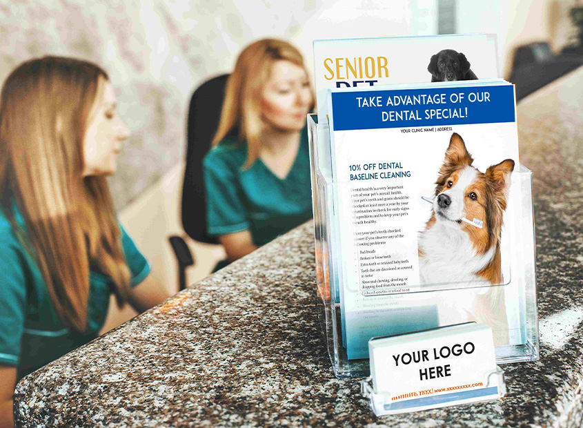 Print Marketing Materials