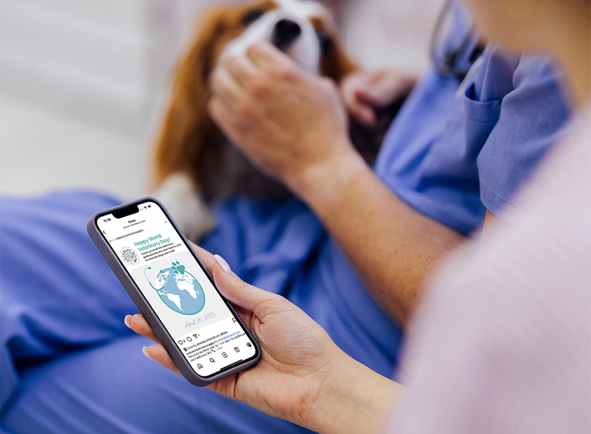 Digital Social Media