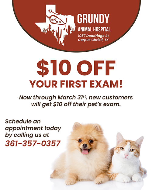 Project of the Month Photo