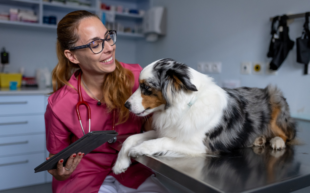 Vet Tech with Patient