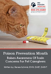 Poison Prevention Month Raises Awareness Of Toxin Concerns For Pet Caregivers - Companion Article