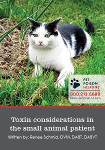 Toxin Considerations in The Small Animal Patient - Companion Article