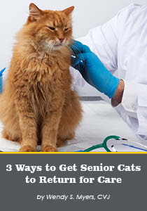 3 Ways To Get Senior Cats To Return For Care - Companion Article