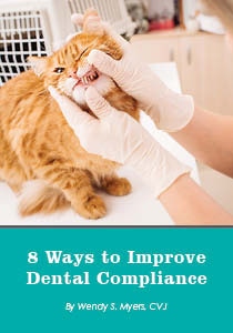 8 Ways To Improve Dental Compliance - Companion Article