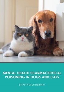 Mental Health Pharmaceutical Poisoning In Dogs And Cats - Companion Article