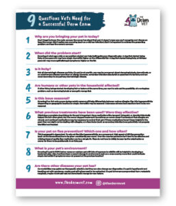 9 Questions Vets Need for a Successful Derm Exam - Clinic Tool