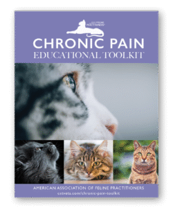 Chronic Pain Educational Toolkit - Clinic Tool