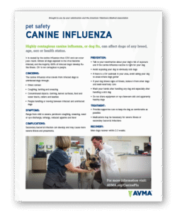 Pet Safety - Canine Influenza - Clinic Tool