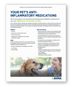 Your Pet's Anti-Inflammatory Medications - Clinic Tool