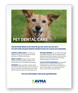 Pet Dental Care- AVMA- Clinic Tool