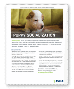 Puppy Socialization - Clinic Tool