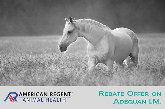 American Regent Rebate Offers