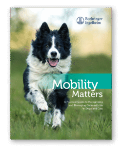 Mobility Matters: A Practical Guide to Recognizing and Managing Osteoarthritis in Dogs and Cats - Clinic Tool