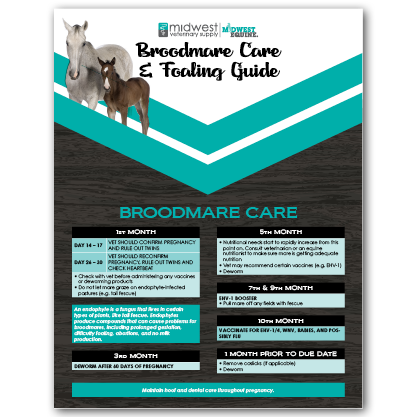 Broodmare Care & Foaling Guide Thumbnail Image