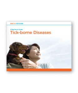 A Dog Owner's Guide: Tick-borne Diseases - Clinic Tool