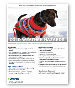 Cold Weather Hazards - Clinic Tool