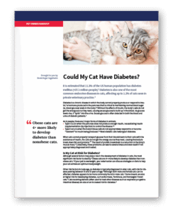 Could My Cat Have Diabetes? - Clinic Tool