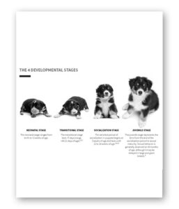 Developmental Stages of Puppies - Clinic Tool