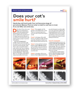 Does Your Cat's Smile Hurt? - Clinic Tool