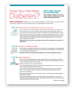 Does Your Pet Have Diabetes? - Clinic Tools