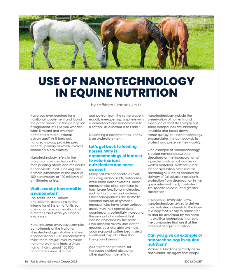 Use of Nanotechnology in Equine Nutrition Article Thumbnail
