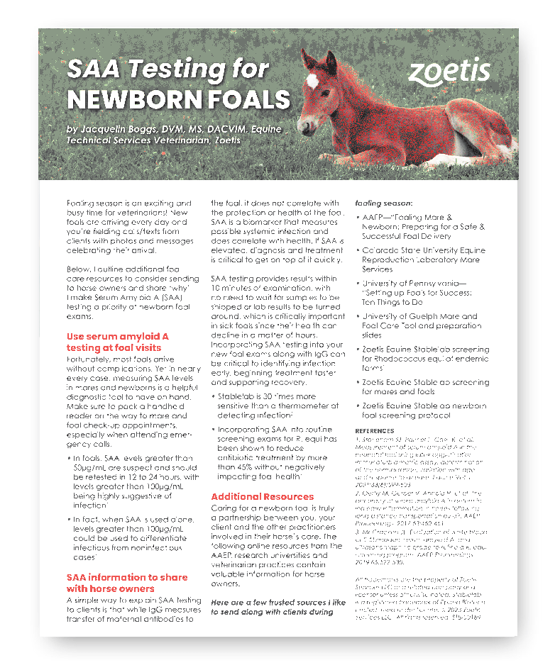 Equine Article Thumbnail Image