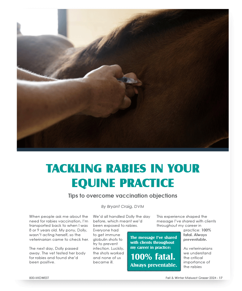 Equine Article Thumbnail Image