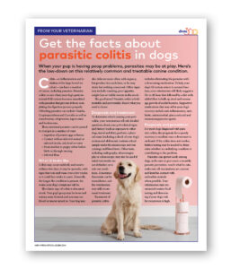 Get the facts about parasitic colitis in dogs - Clinic Tool