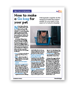 How To Make a Go Bag for Your Pet - Clinic Tool
