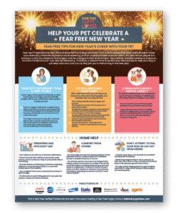 Help Your Pet Celebrate A Fear Free New Year - Clinic Tool
