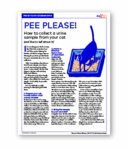 PEE PLEASE! How to Collect a Urine Sample from Your Cat - Clinic Tool