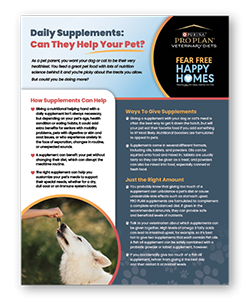 Daily Supplements: Can They Help Your Pet? - Clinic Tool