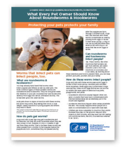 What Every Pet Owner Should Know About Roundworms & Hookworms - Clinic Tool
