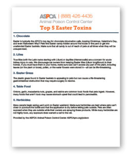 Top 5 Easter Toxins - Clinic Tool