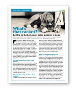 What's That Racket? - Clinic Tool