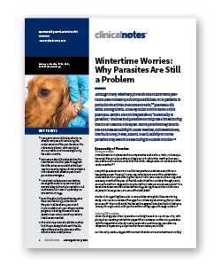 Wintertime Worries: Why Parasites Are Still a Problem - Clinic Tool