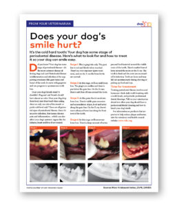 Does Your Dog's Smile Hurt? - Clinic Tool