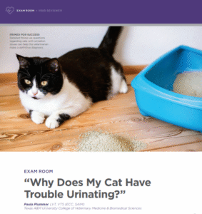 Why Does My Cat Have Trouble Urinating? - Clinic Tool