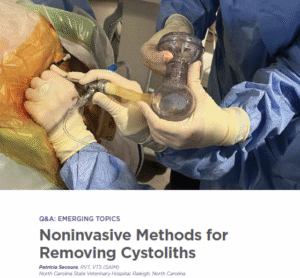 Q&A: EMERGING TOPICS Noninvasive Methods for Removing Cystoliths - Clinic Tool
