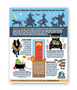 How To Prevent Halloween Howls From Your Pet - Clinic Tool