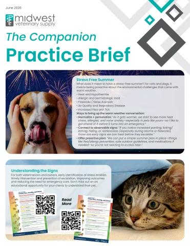 June 2026 Companion Practice Brief