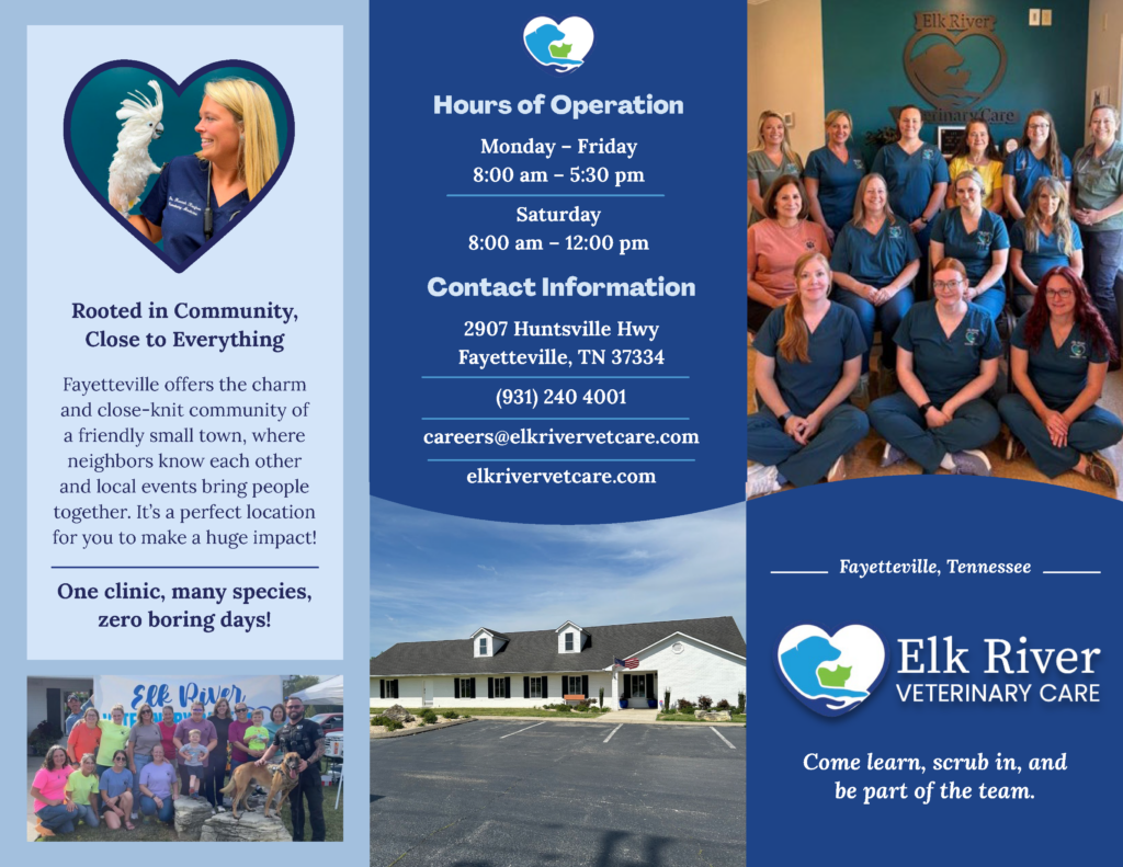 Clinic Creative Services Project - Elk River Veterinary Care Brochure