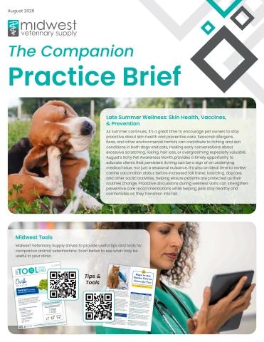 Companion Practice Brief