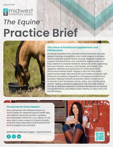 Equine Practice Brief