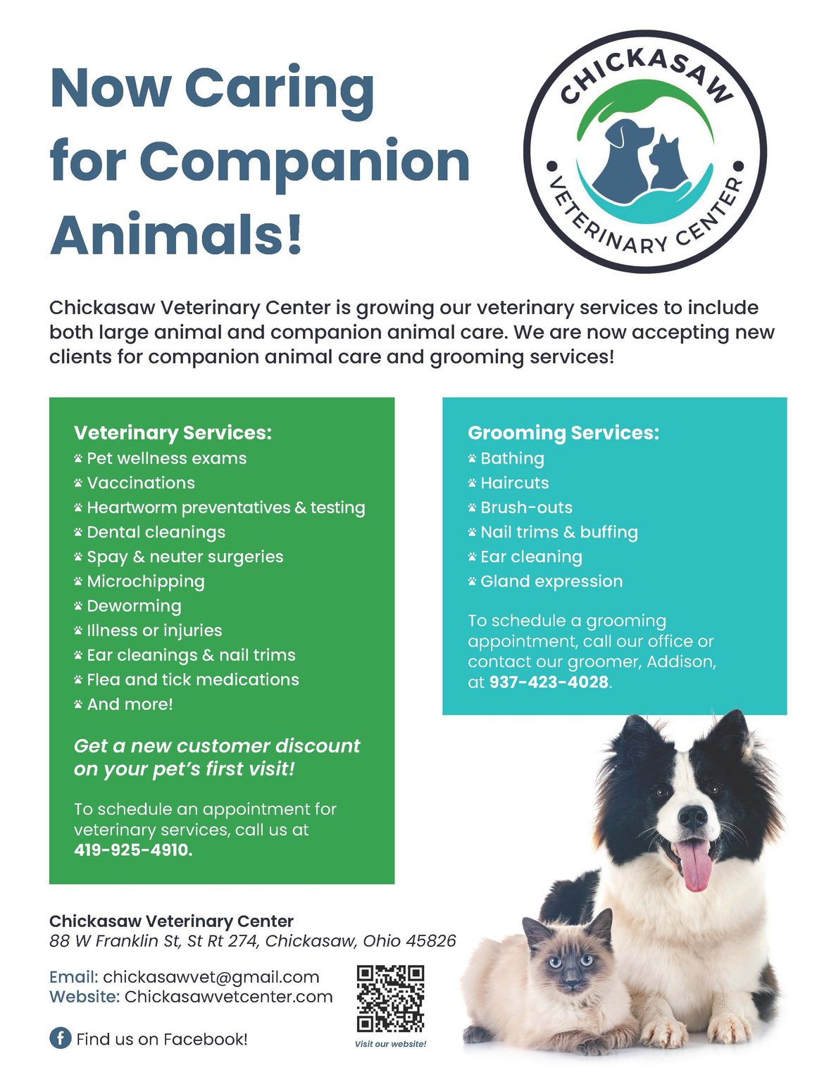 Veterinary Practice Marketing Design