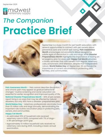 September 2026- Companion Practice Brief