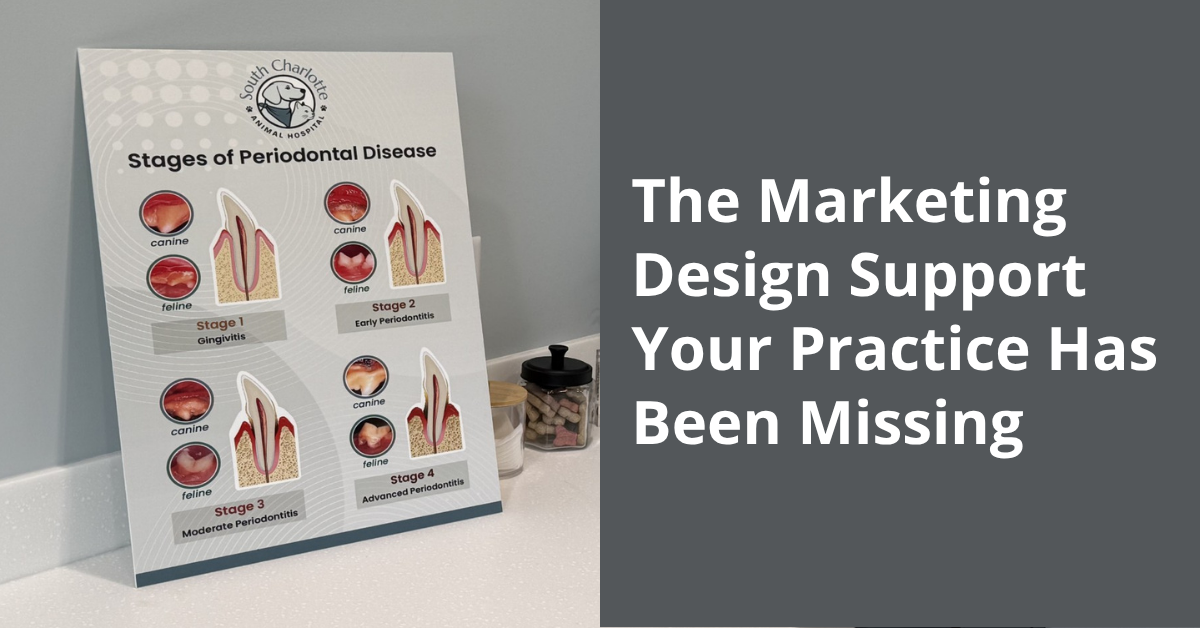 veterinary practice marketing design